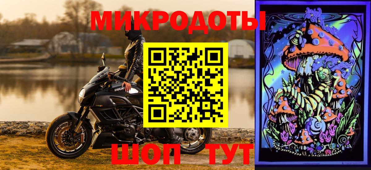Псилоцибиновые грибы мицелий Минеральные Воды